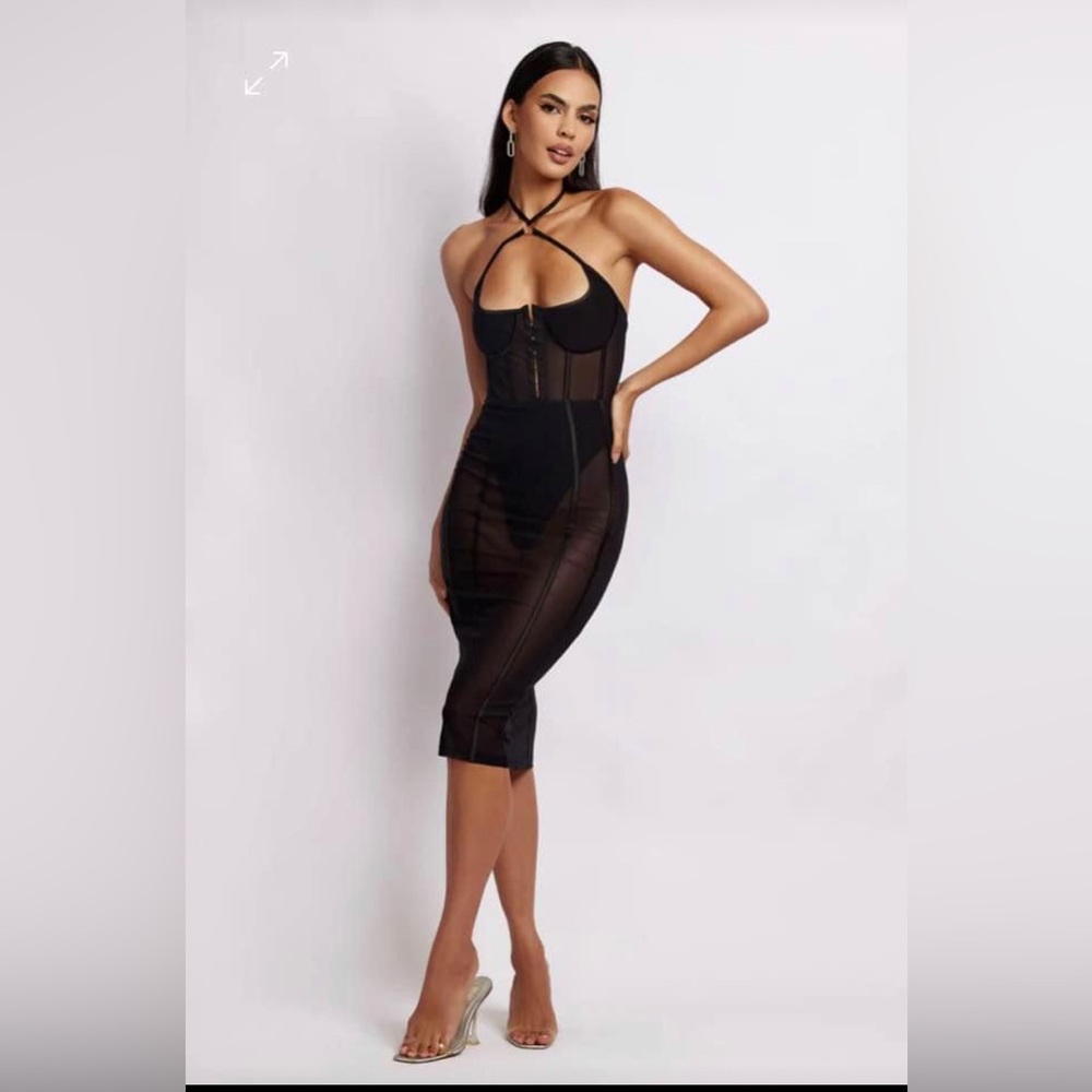 Sheer Black Bodycon Dress (Meshki)